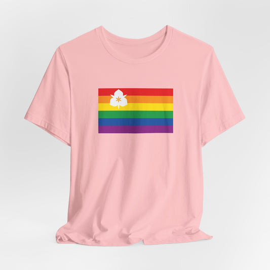 Salt Lake City, Utah Rainbow Pride Flag T-shirt, Several Color Options