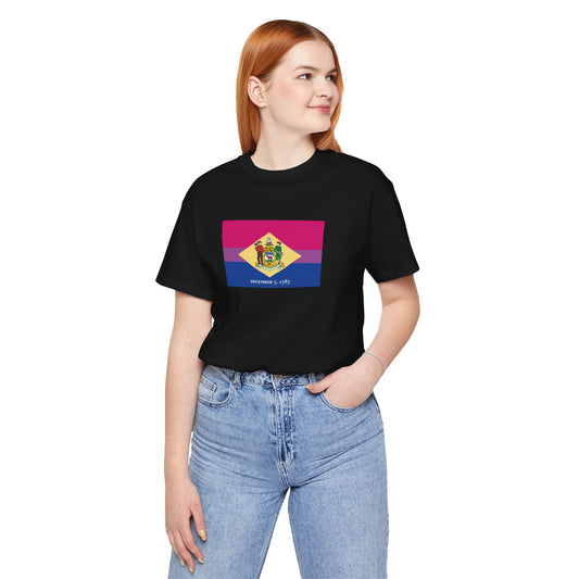 Delaware Bisexual Pride Flag T-shirt, Several Color Options