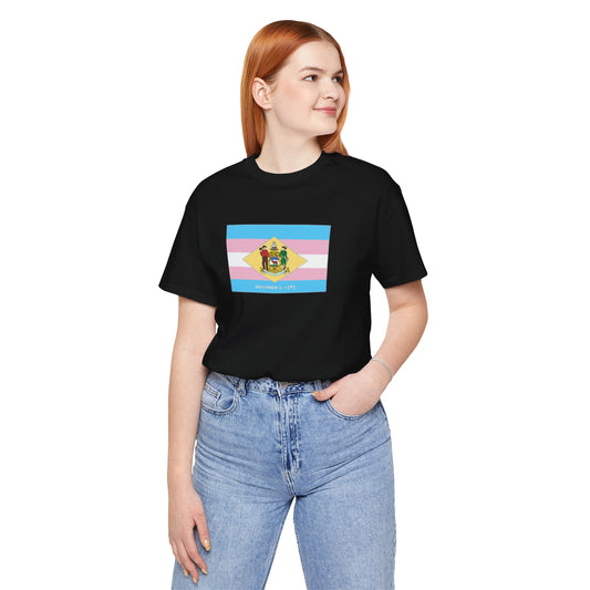 Delaware Transgender Pride Flag T-shirt, Several Color Options