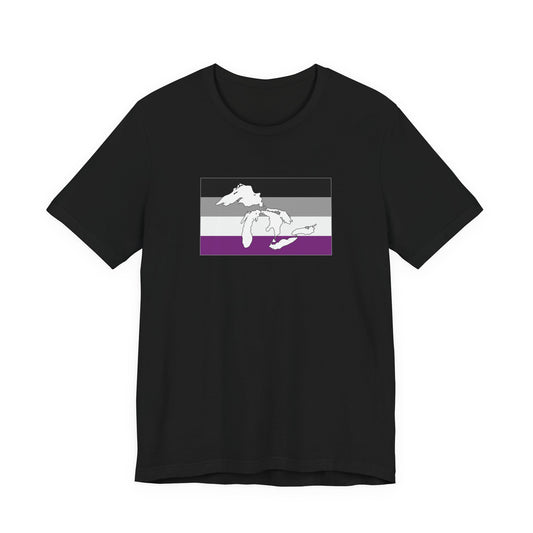 Great Lakes Region Asexual Pride Flag T-shirt, Several Color Options