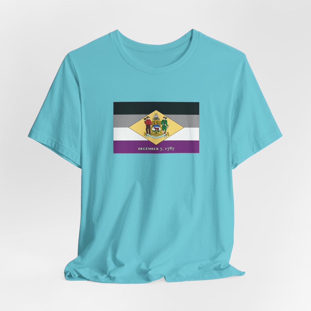 Delaware Asexual Pride Flag T-shirt, Several Color Options
