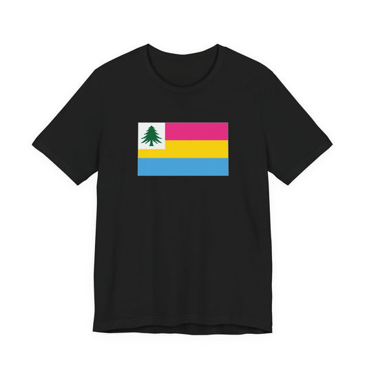 New England Pansexual Pride Flag T-shirt, Several Color Options