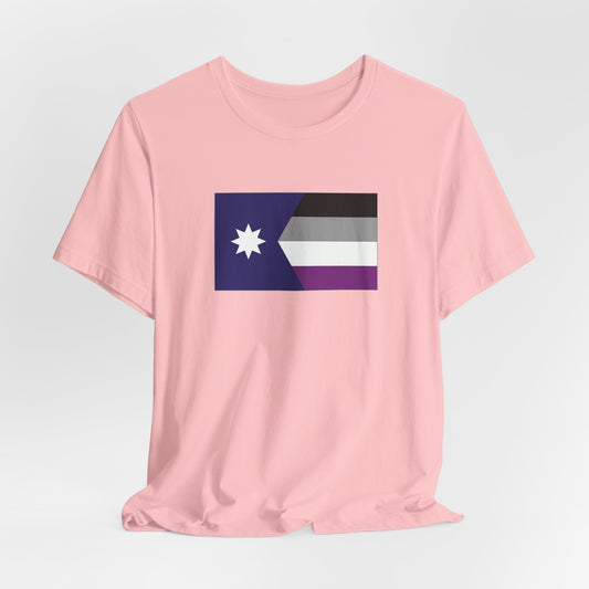 Minnesota Asexual Pride Flag T-shirt, Several Color Options