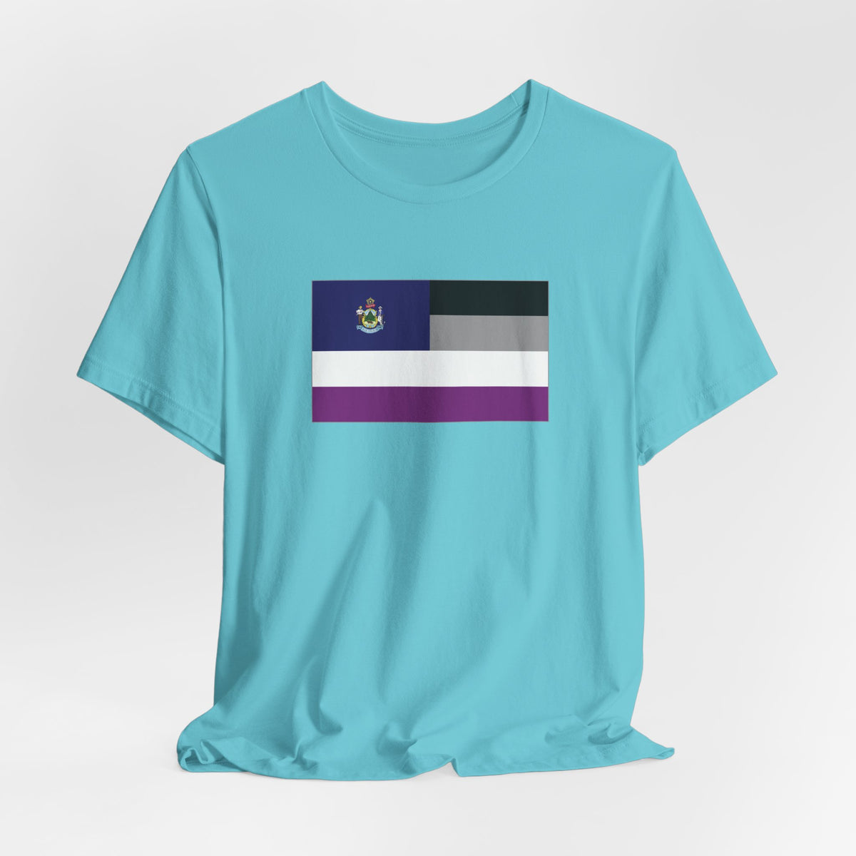 Maine Asexual Pride Flag T-shirt, Several Color Options