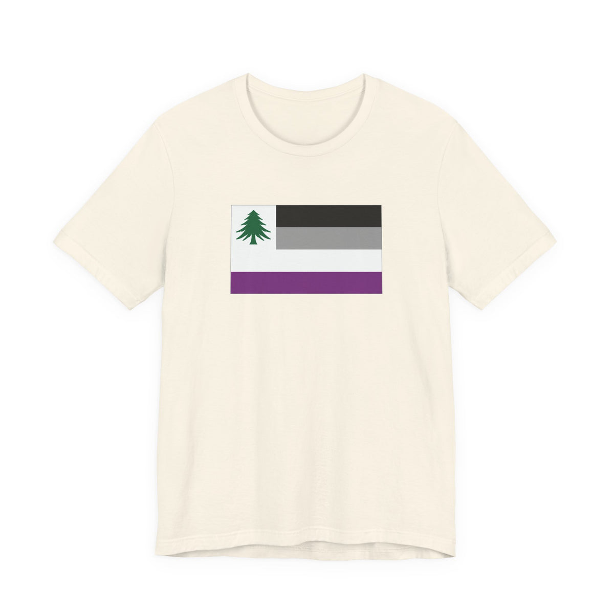 New England Asexual Pride Flag T-shirt, Several Color Options