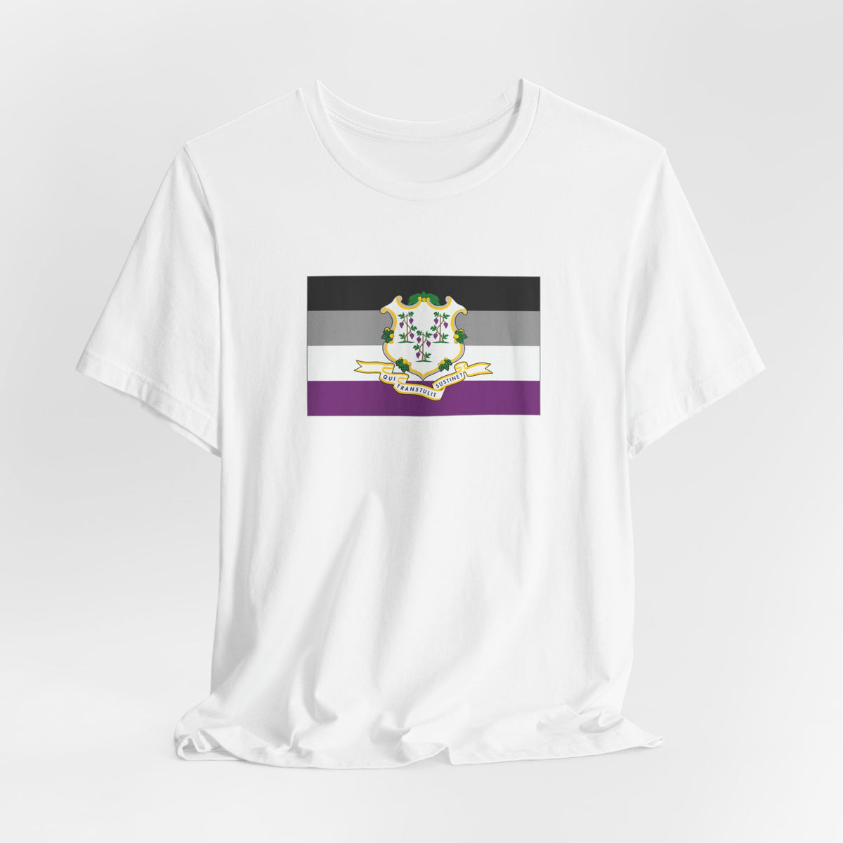 Connecticut Asexual Pride Flag T-shirt, Several Color Options