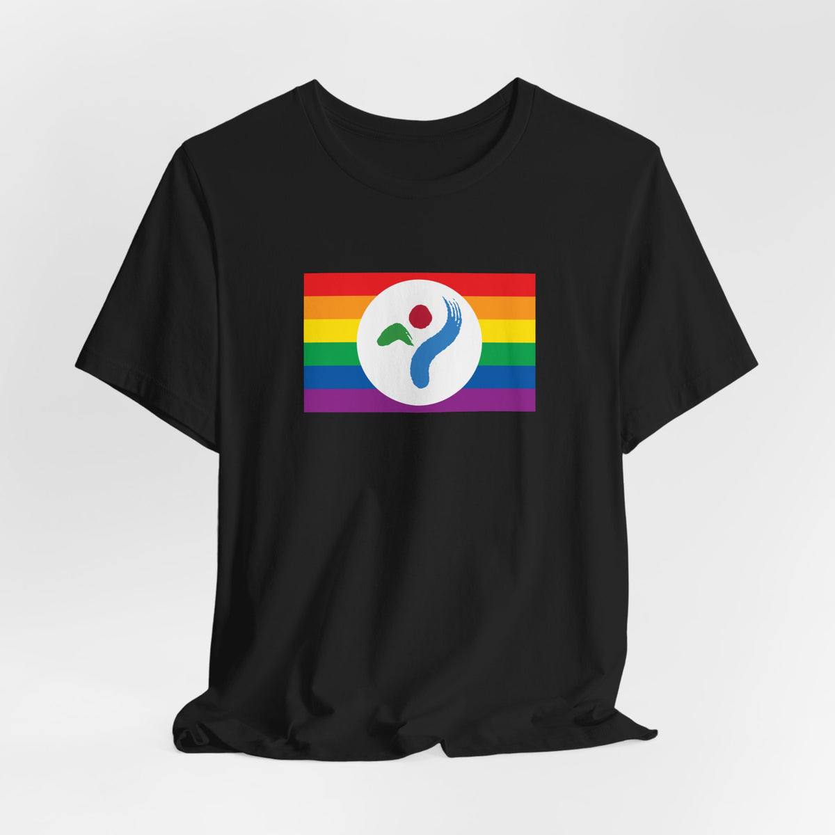 Seoul, South Korea Rainbow Pride Flag T-shirt, Several Color Options