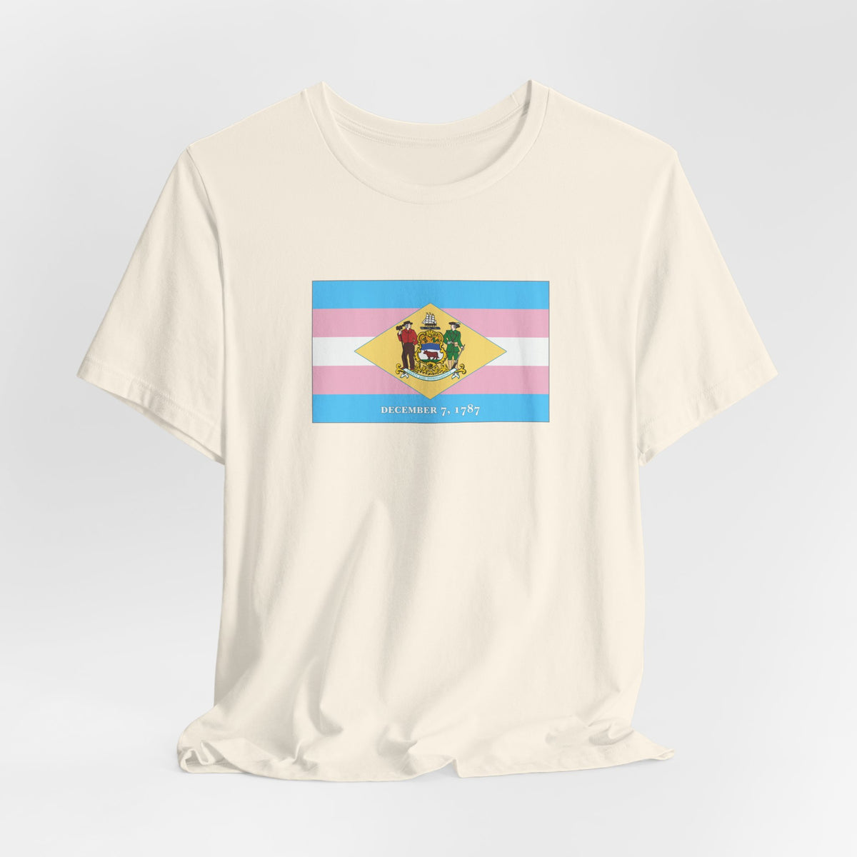 Delaware Transgender Pride Flag T-shirt, Several Color Options