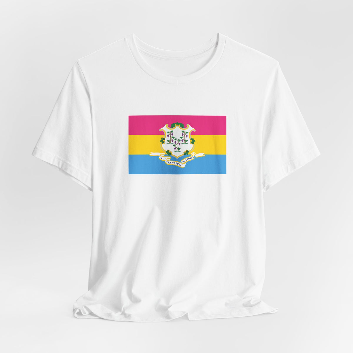 Connecticut Pansexual Pride Flag T-shirt, Several Color Options