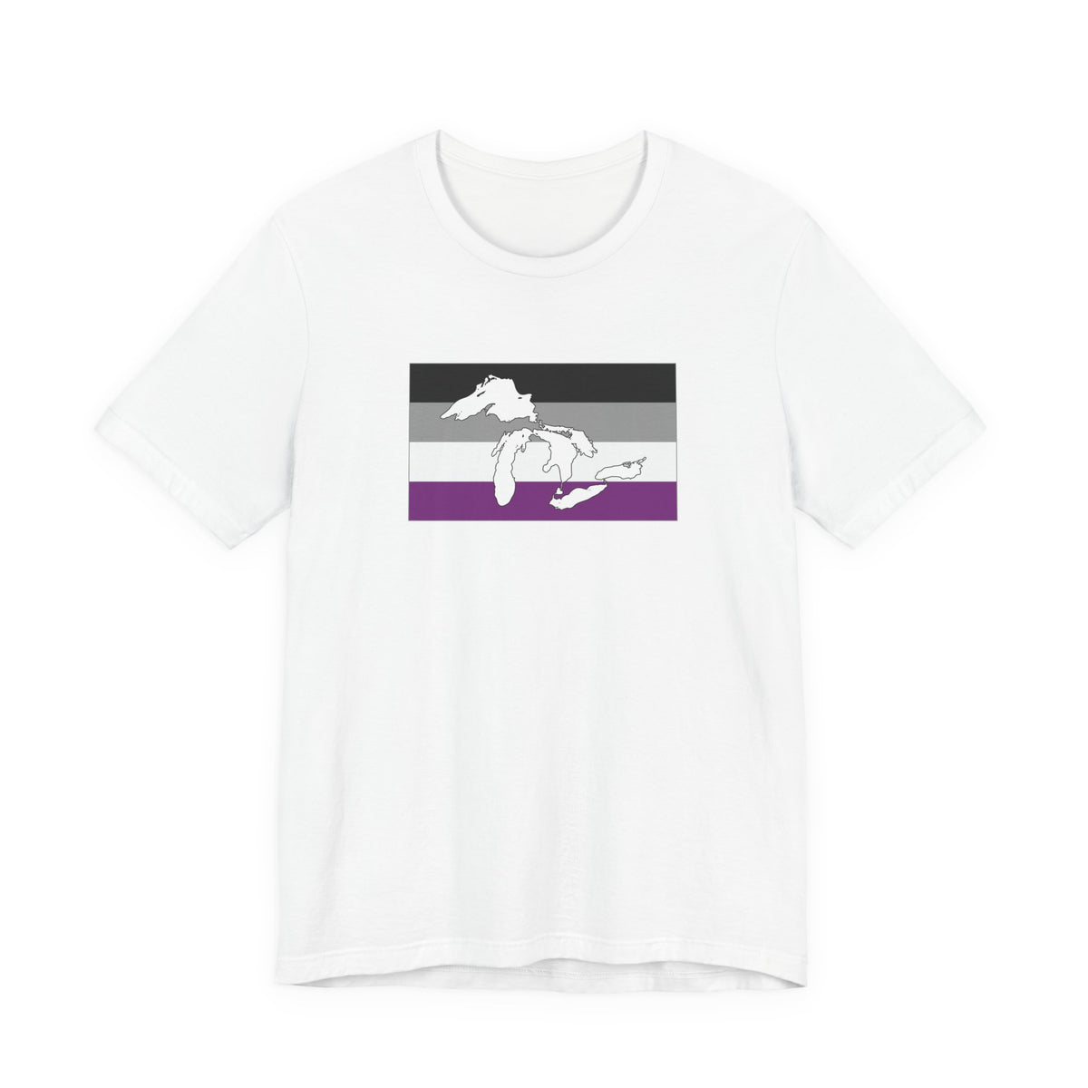 Great Lakes Region Asexual Pride Flag T-shirt, Several Color Options