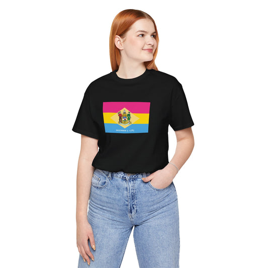 Delaware Pansexual Pride Flag T-shirt, Several Color Options