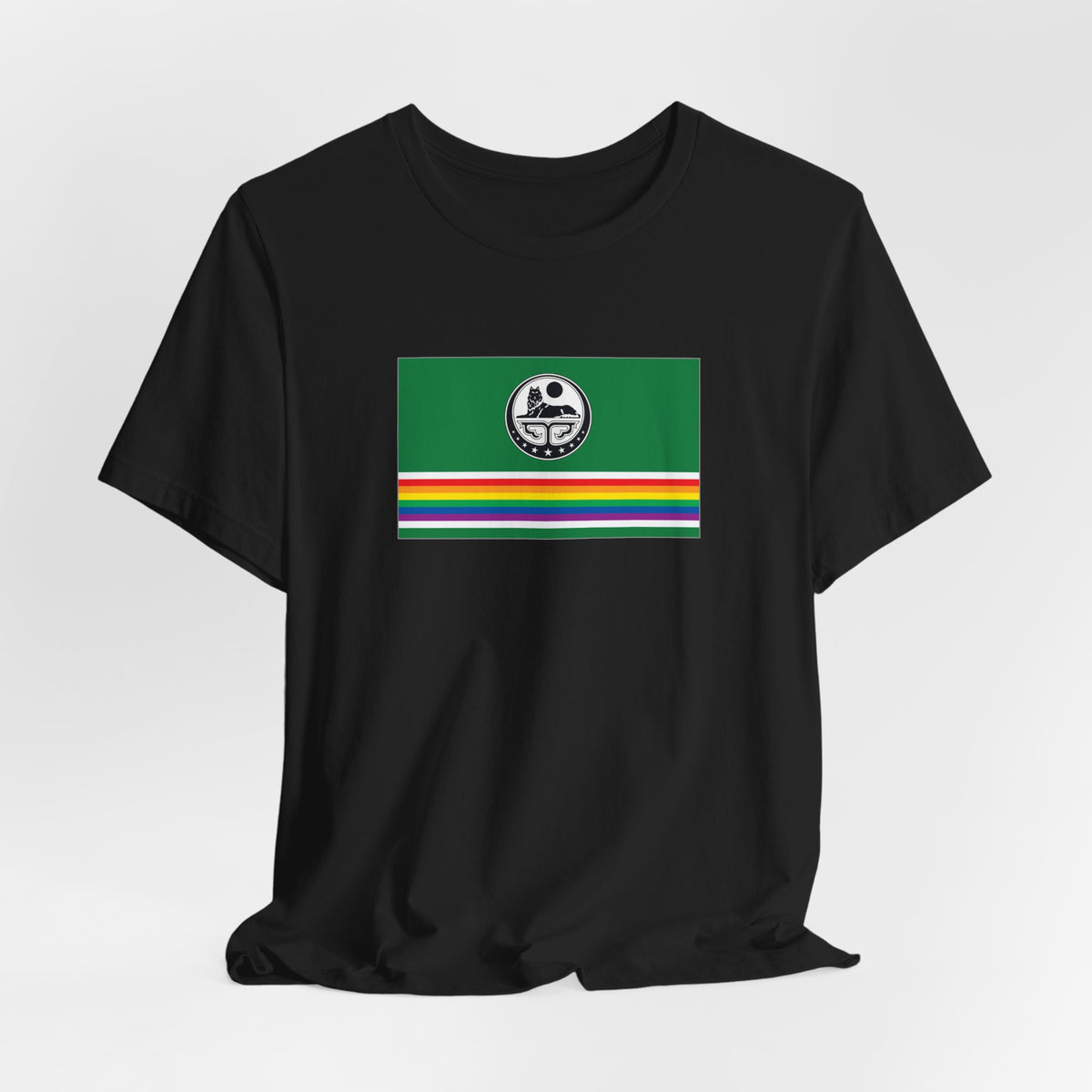 Chechnya Rainbow Pride Flag T-shirt, Several Color Options