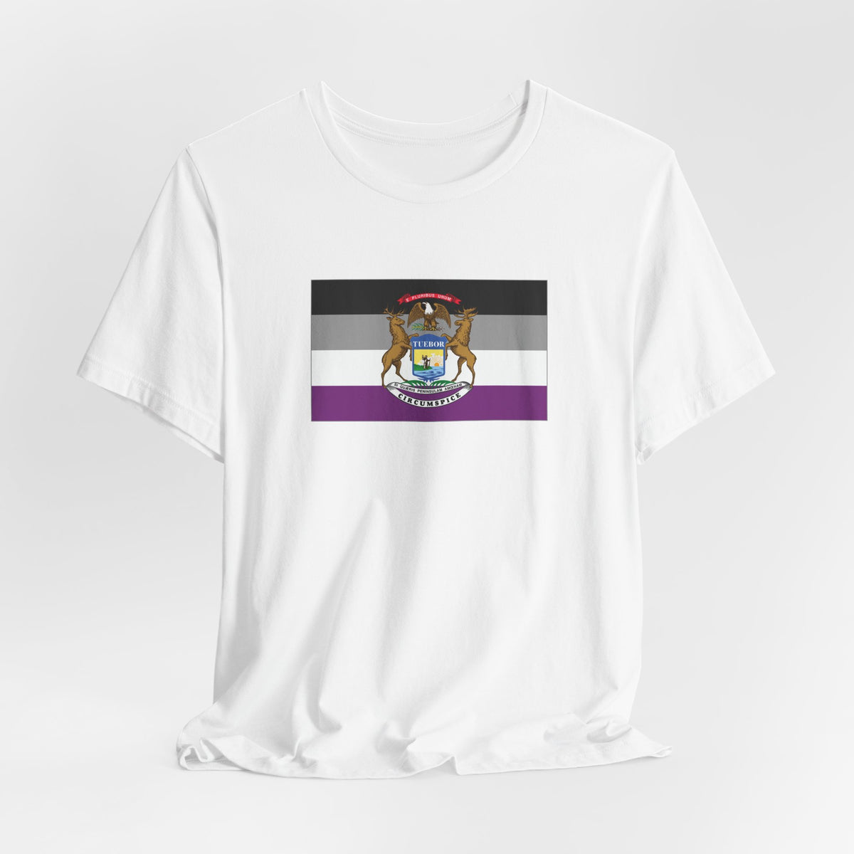 Michigan Asexual Pride Flag T-shirt, Several Color Options