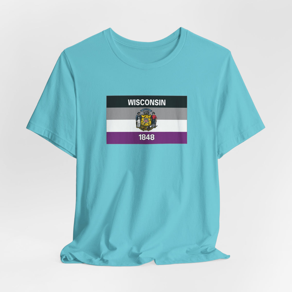 Wisconsin Asexual Pride Flag T-shirt, Several Color Options