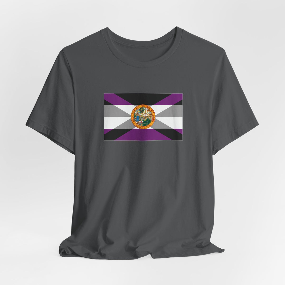 Florida Asexual Pride Flag T-shirt, Several Color Options