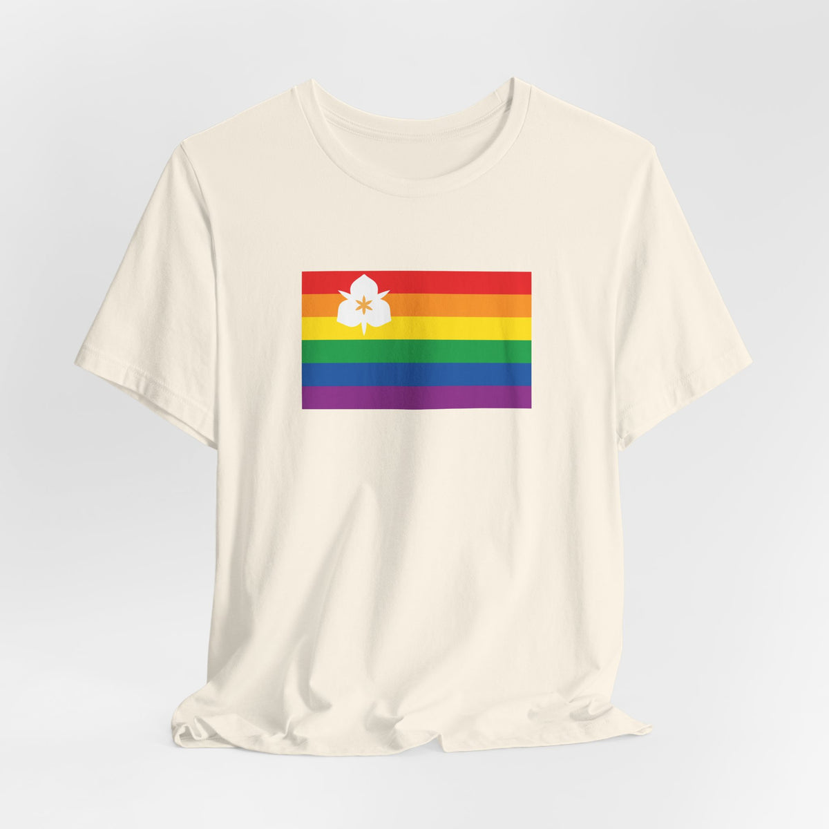 Salt Lake City, Utah Rainbow Pride Flag T-shirt, Several Color Options