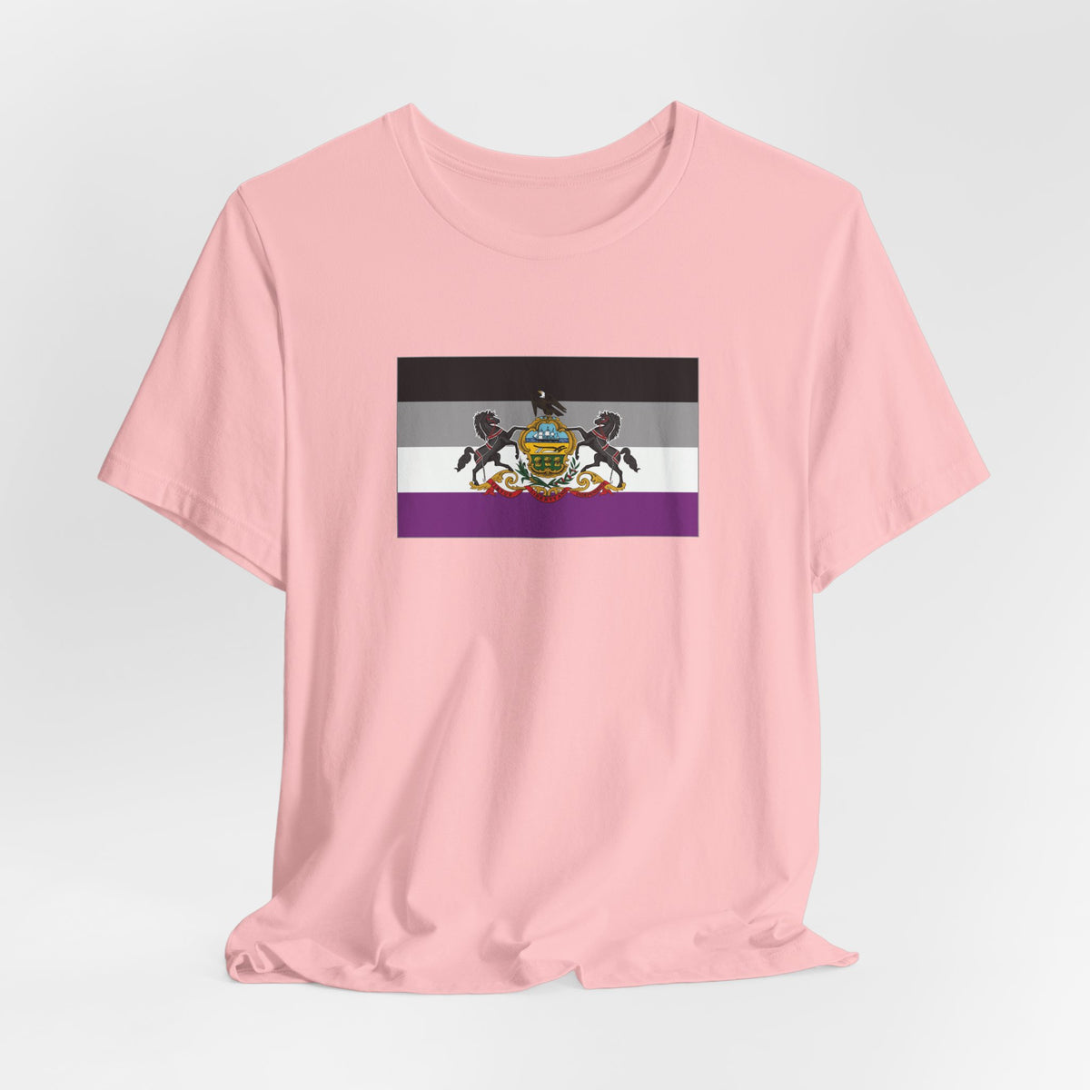 Pennsylvania Asexual Pride Flag T-shirt, Several Color Options