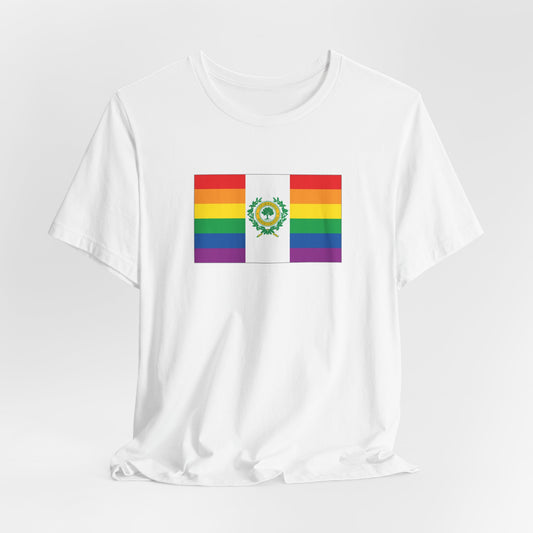 Raleigh, North Carolina Rainbow Pride Flag T-shirt, Several Color Options
