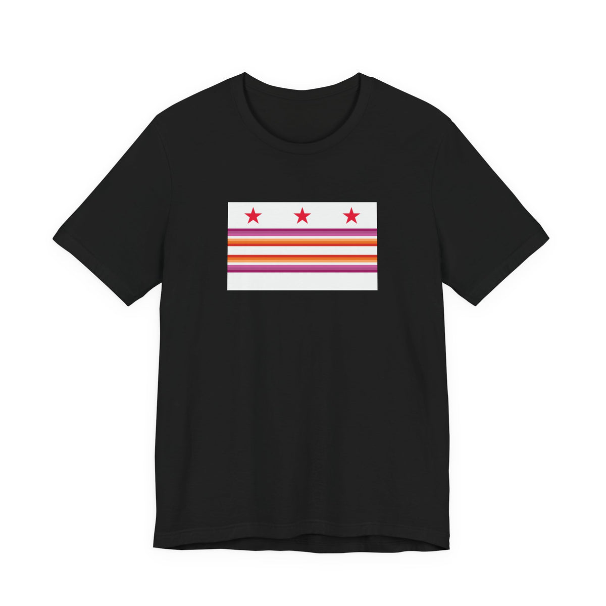 Washington, D.C. Lesbian Pride Flag T-shirt, Several Color Options