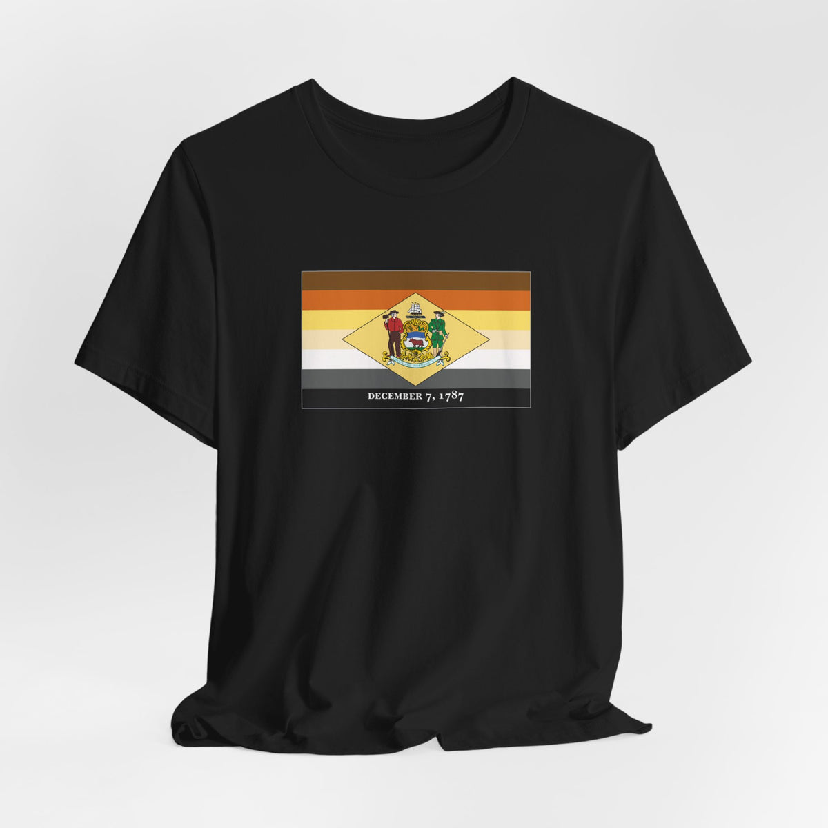 Delaware Bear Pride Flag T-shirt, Several Color Options