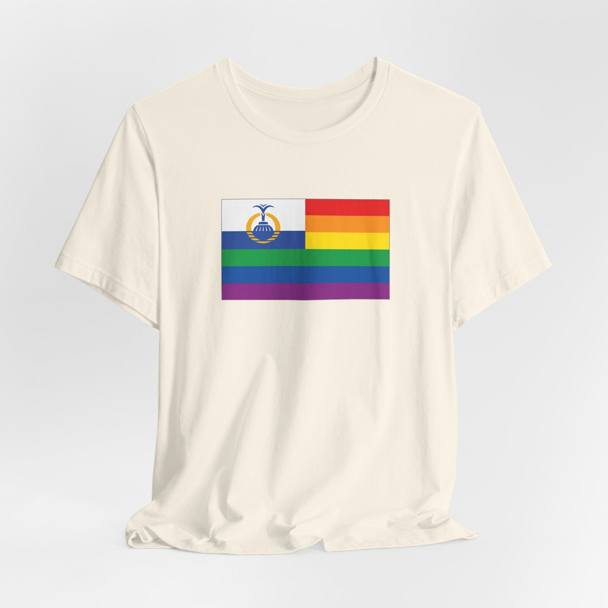 Orlando, Florida Rainbow Pride Flag T-shirt, Several Color Options