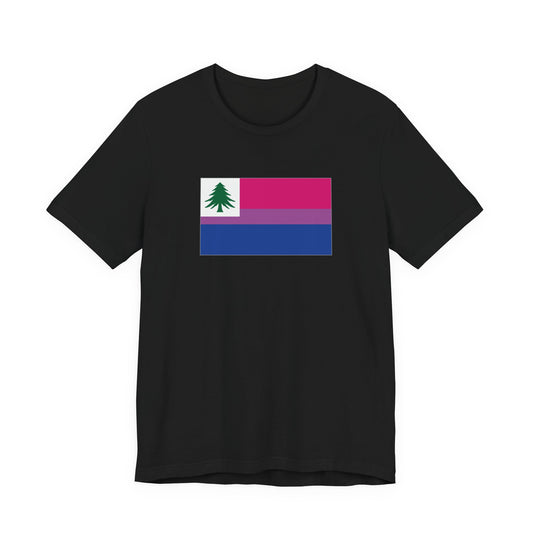 New England Bisexual Pride Flag T-shirt, Several Color Options