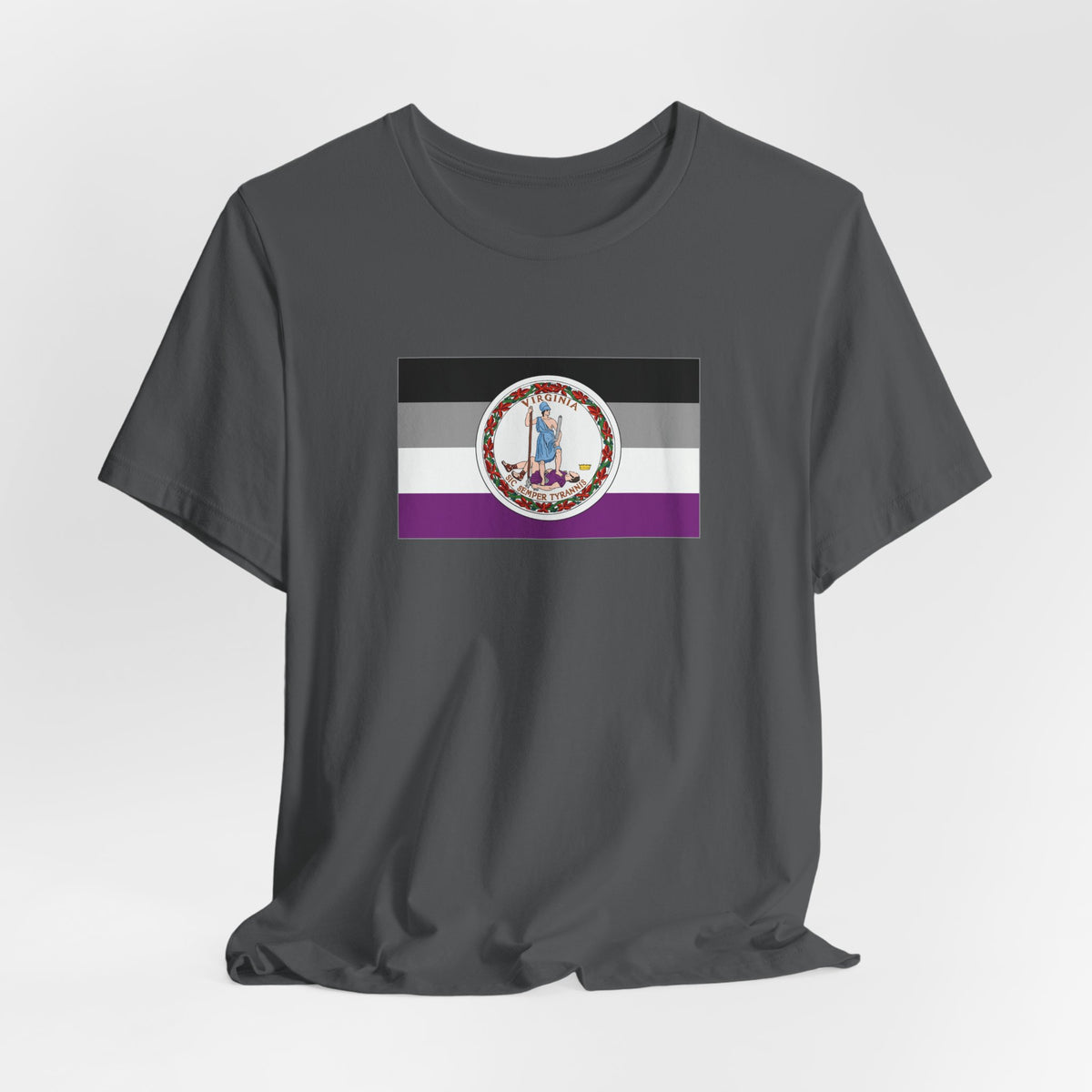 Virginia Asexual Pride Flag T-shirt, Several Color Options