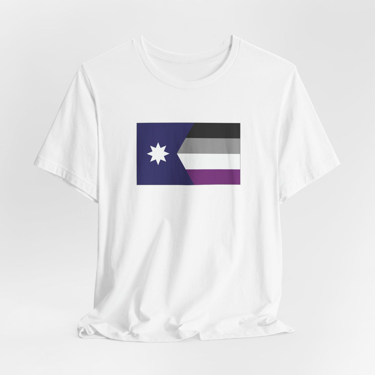 Minnesota Asexual Pride Flag T-shirt, Several Color Options