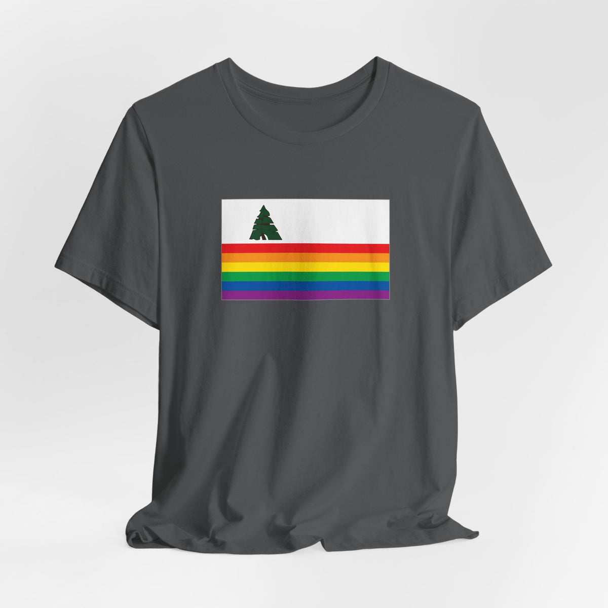 Santa Cruz, California Rainbow Pride Flag T-shirt, Several Color Options