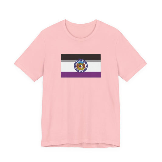 Missouri Asexual Pride Flag T-shirt, Several Color Options