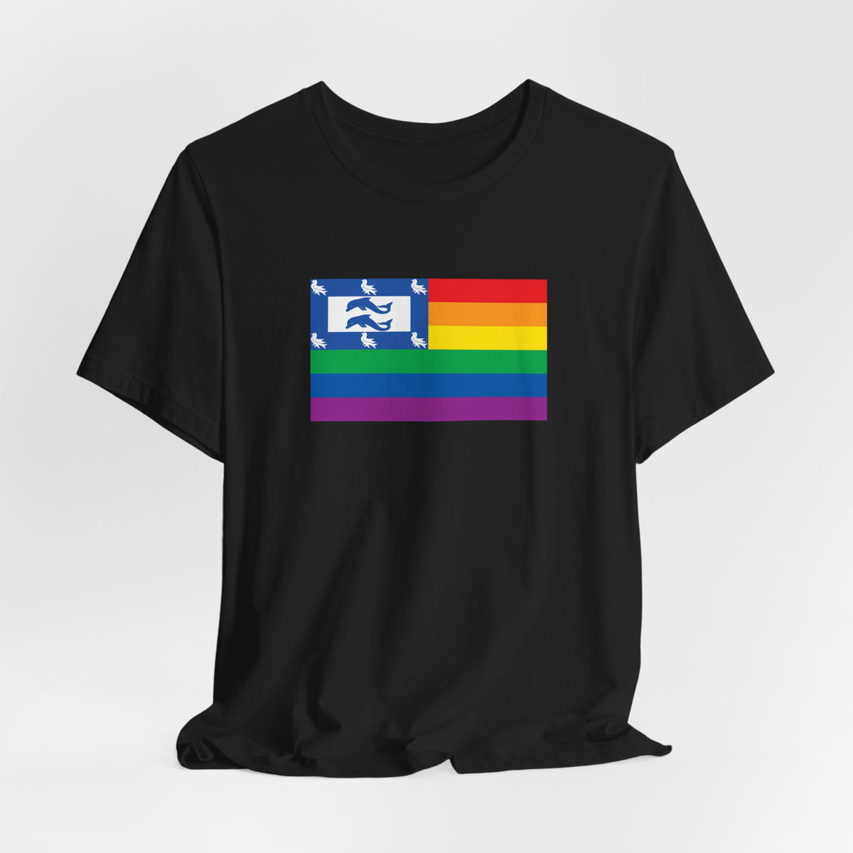 Brighton, United Kingdom Rainbow Pride Flag T-shirt, Several Color Options