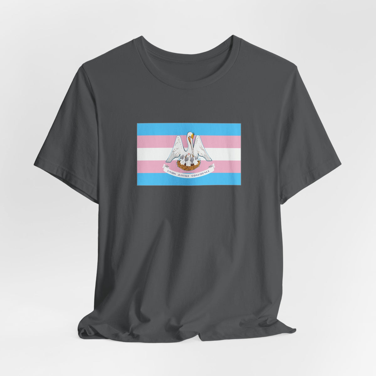 Louisiana Transgender Pride Flag T-shirt, Several Color Options