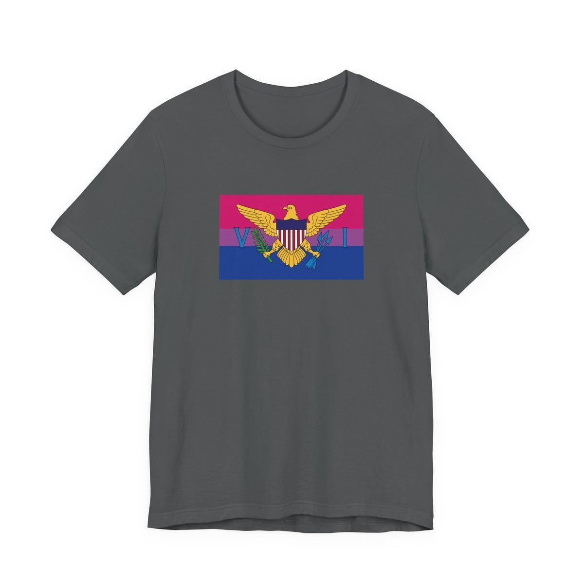 U.S. Virgin Islands Bisexual Pride Flag T-shirt, Several Color Options