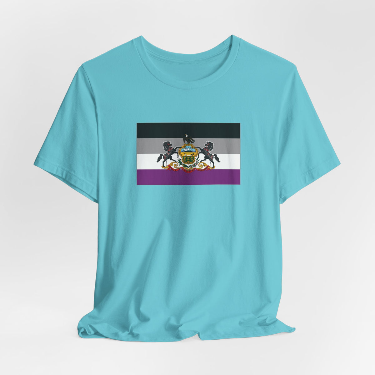 Pennsylvania Asexual Pride Flag T-shirt, Several Color Options