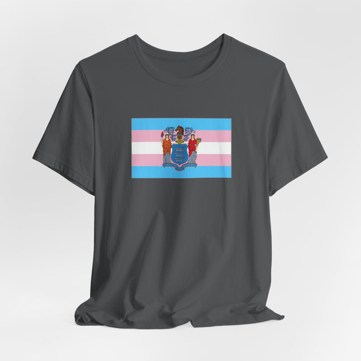 New Jersey Transgender Pride Flag T-shirt, Several Color Options