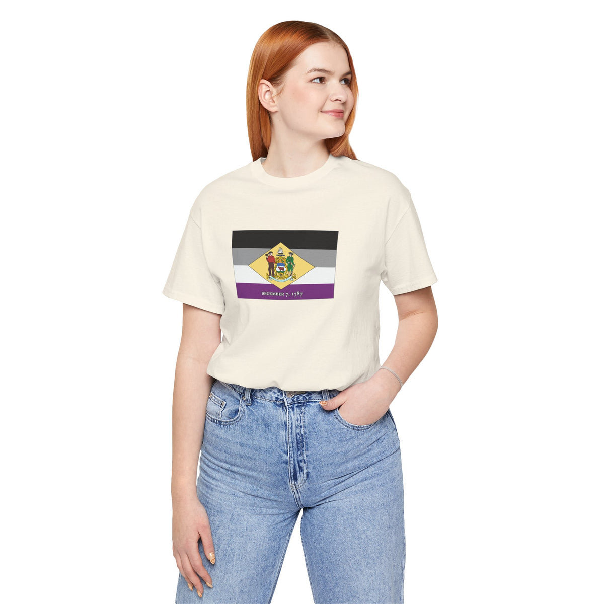 Delaware Asexual Pride Flag T-shirt, Several Color Options