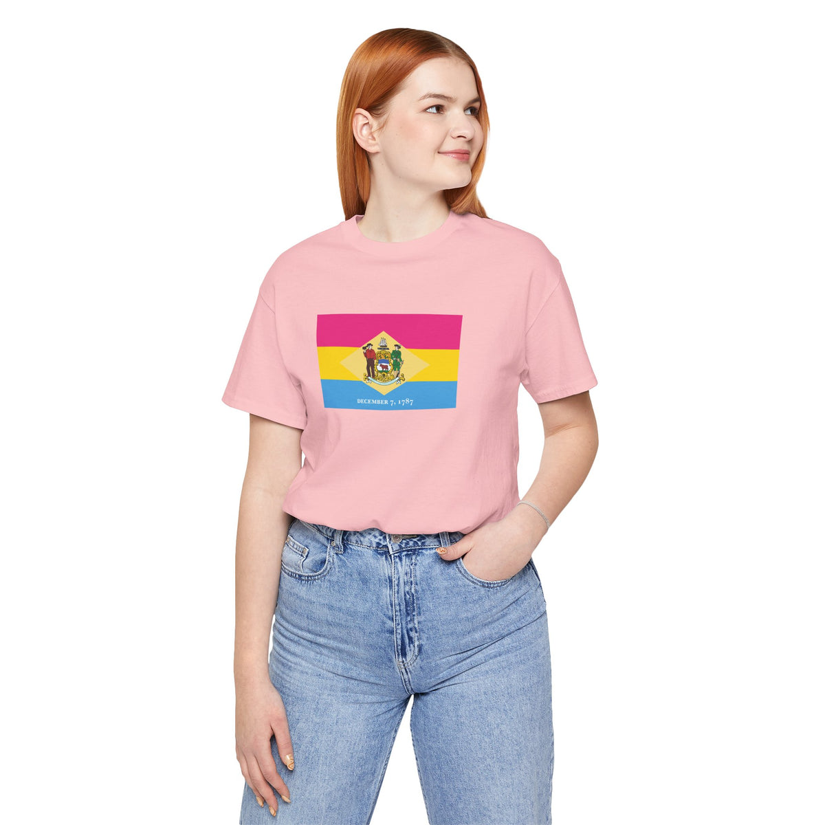 Delaware Pansexual Pride Flag T-shirt, Several Color Options