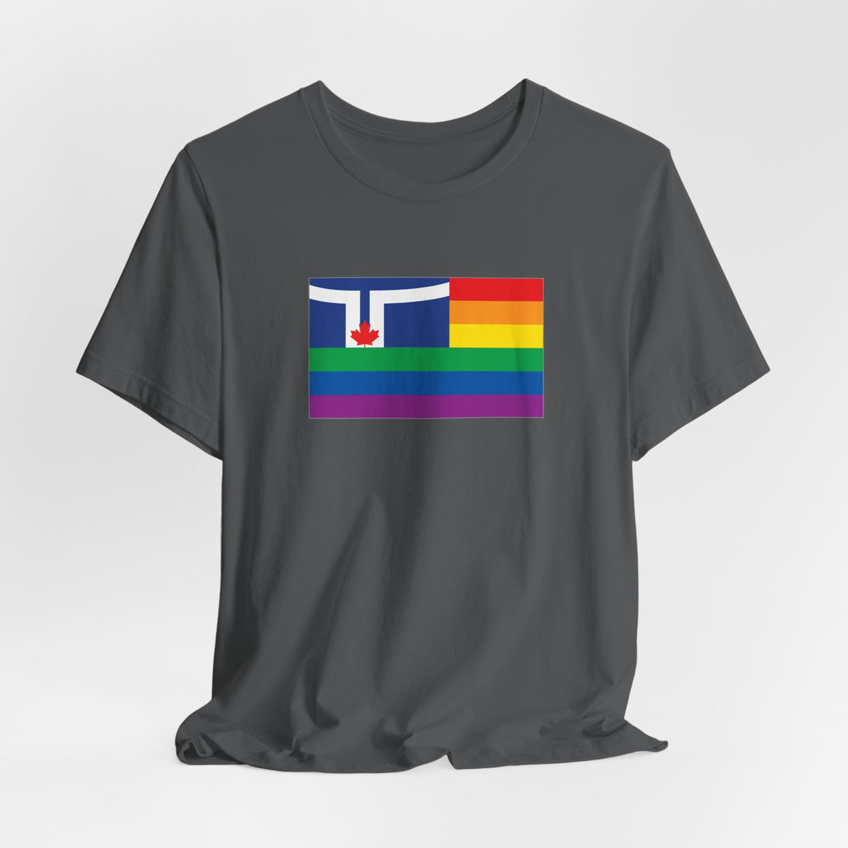 Toronto, Canada Rainbow Pride Flag T-shirt, Several Color Options