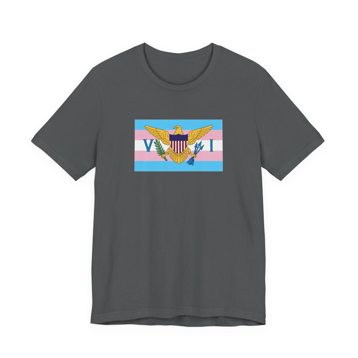U.S. Virgin Islands Transgender Pride Flag T-shirt, Several Color Options