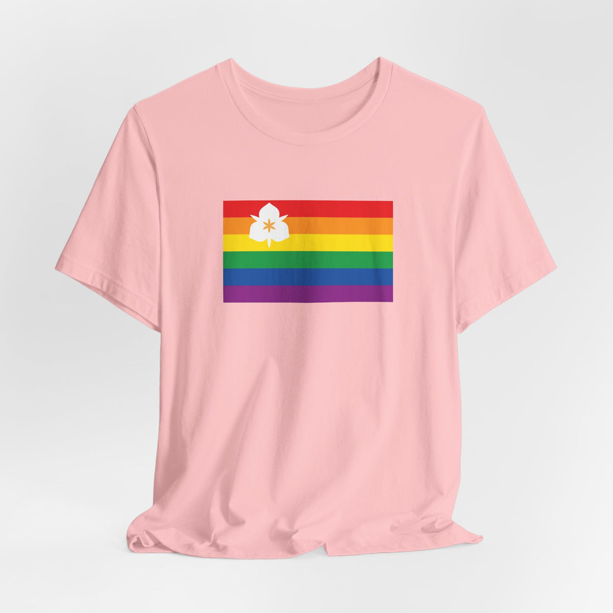 Salt Lake City, Utah Rainbow Pride Flag T-shirt, Several Color Options