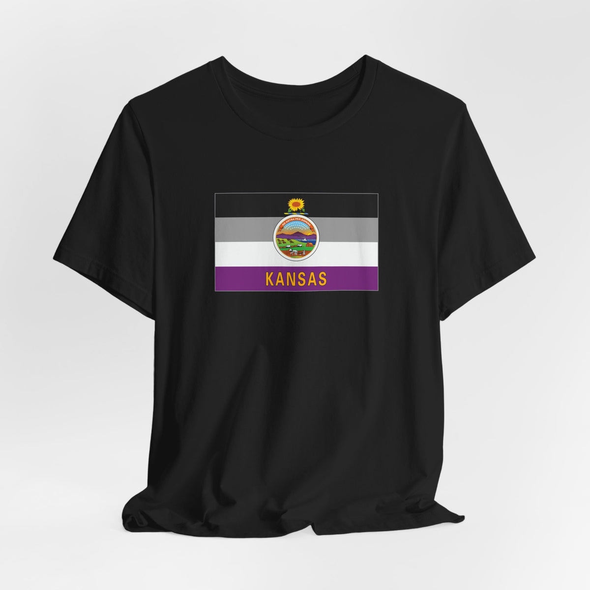 Kansas Asexual Pride Flag T-shirt, Several Color Options