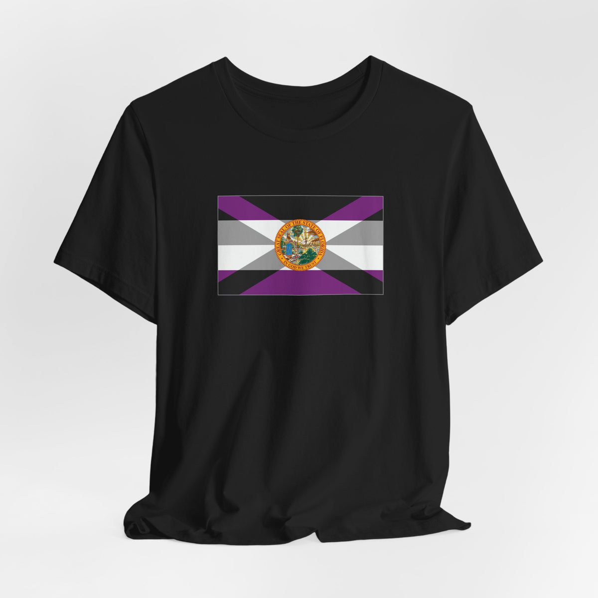 Florida Asexual Pride Flag T-shirt, Several Color Options