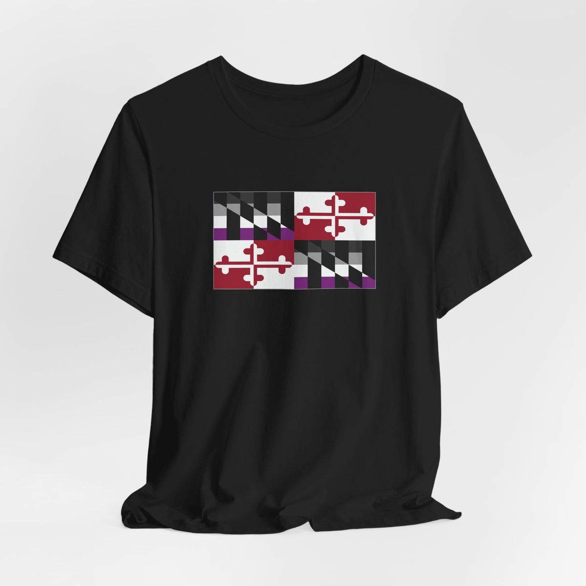 Maryland Asexual Pride Flag T-shirt, Several Color Options