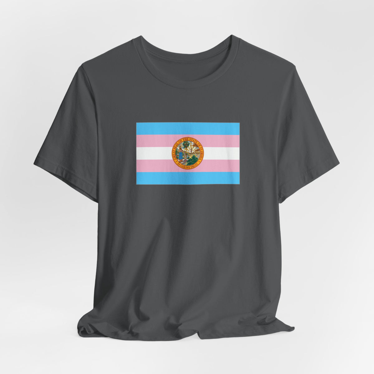 Florida Transgender Pride Flag T-shirt, Several Color Options