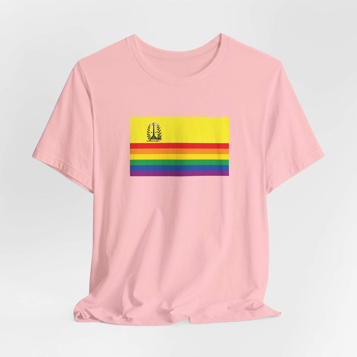 Marigot, Saint Martin Rainbow Pride Flag T-shirt, Several Color Options