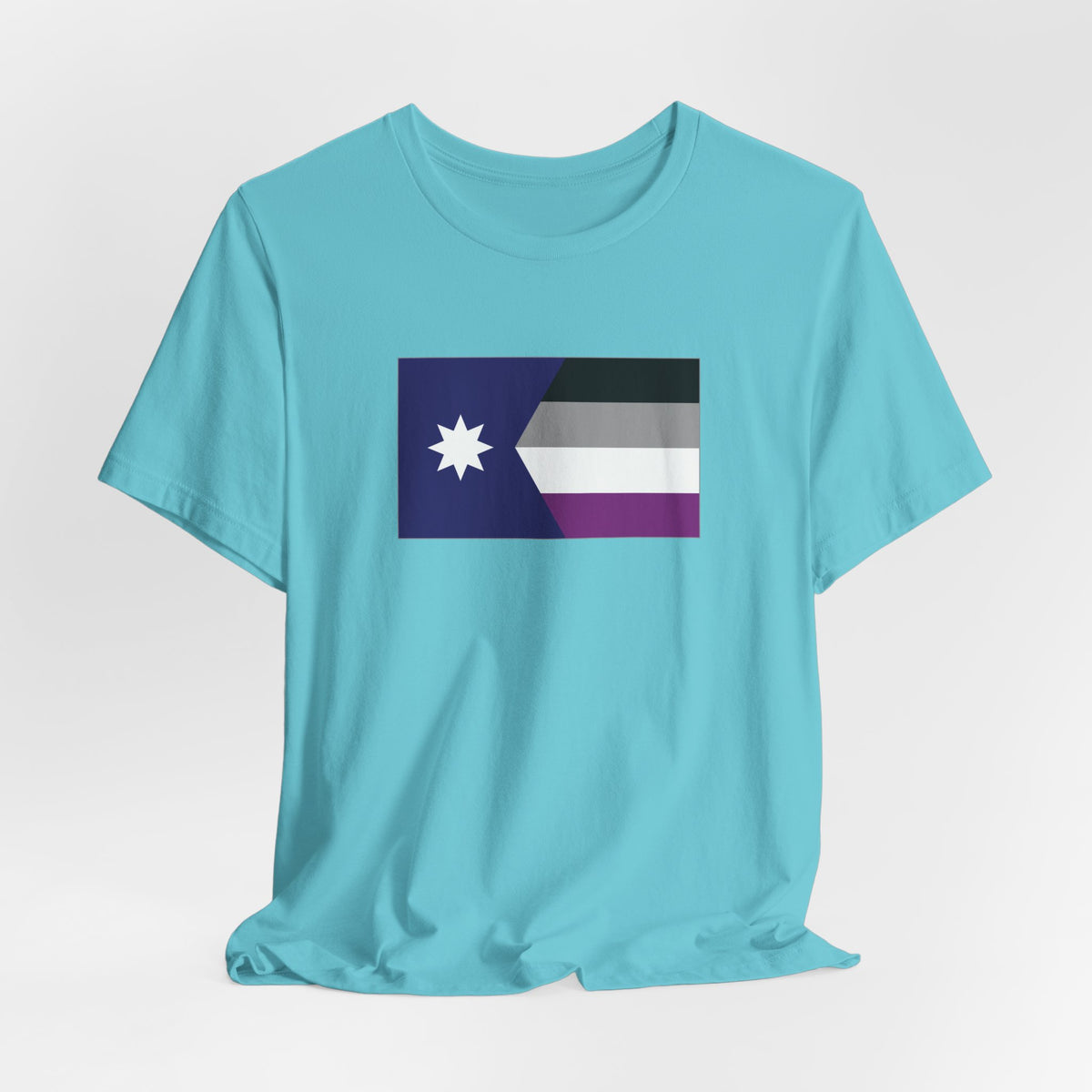 Minnesota Asexual Pride Flag T-shirt, Several Color Options