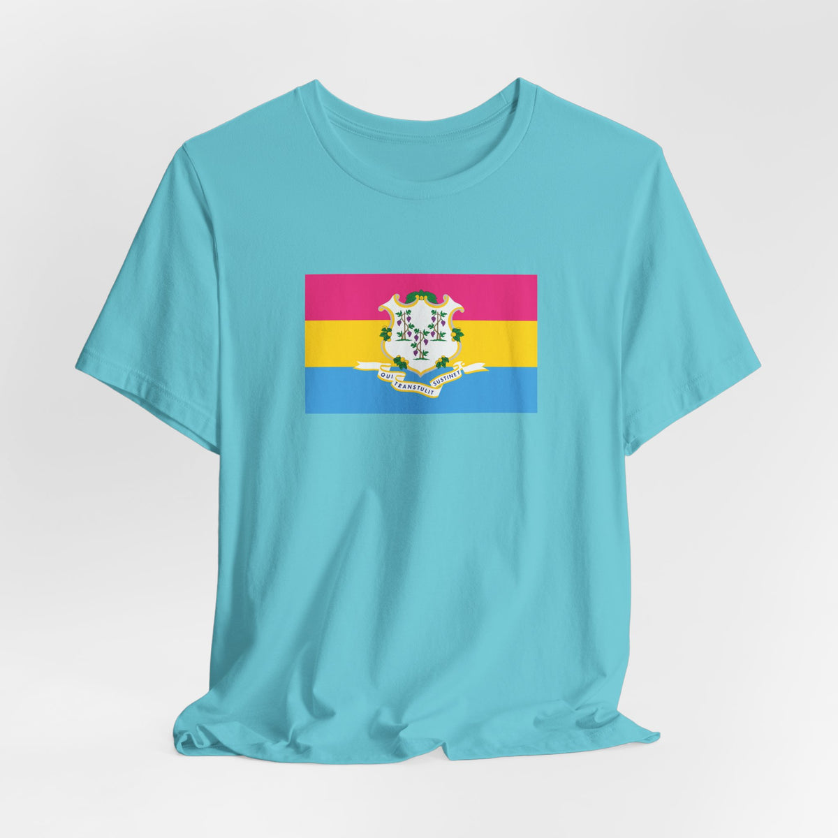 Connecticut Pansexual Pride Flag T-shirt, Several Color Options