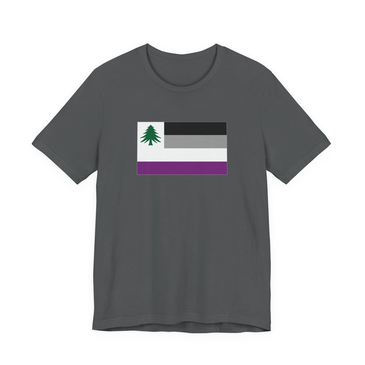 New England Asexual Pride Flag T-shirt, Several Color Options
