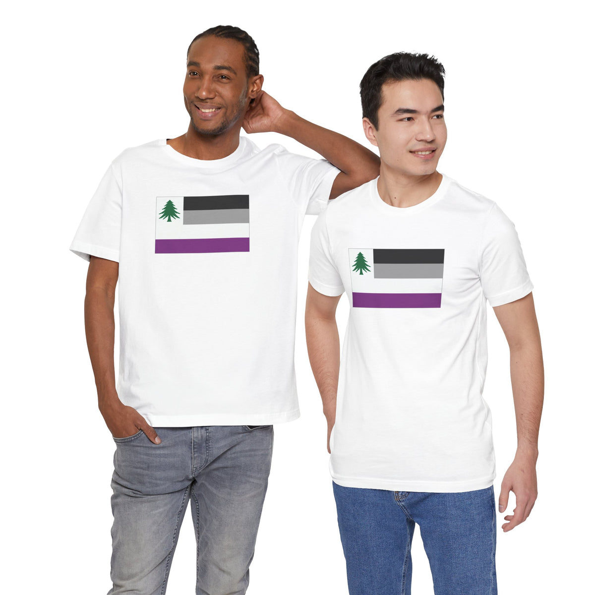New England Asexual Pride Flag T-shirt, Several Color Options