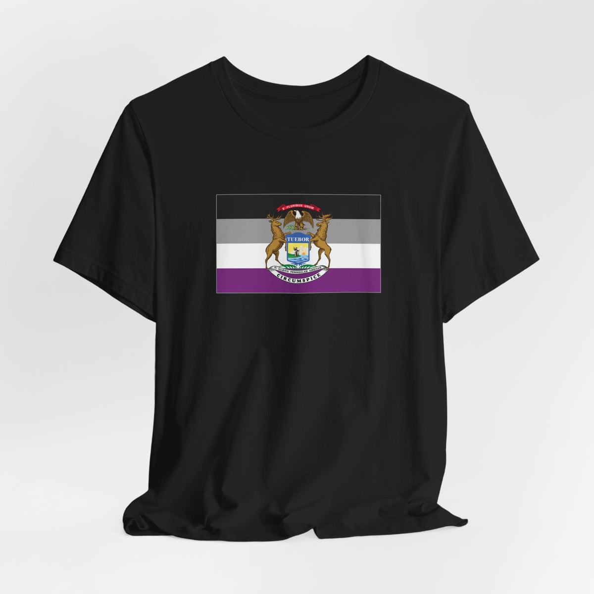 Michigan Asexual Pride Flag T-shirt, Several Color Options